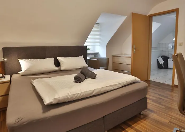 Prinz Carl 内卡苏尔姆